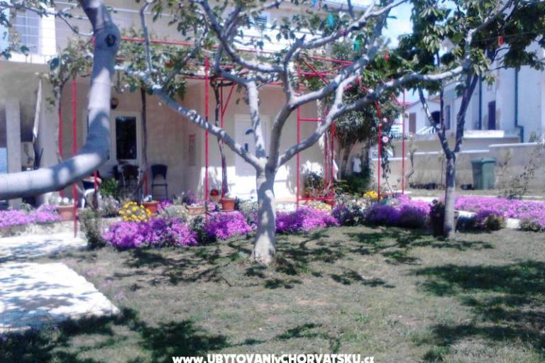 Apartmani Vera – foto 9