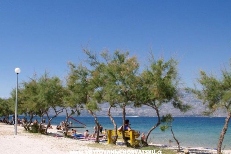 CAMP PUNTICA – foto 8