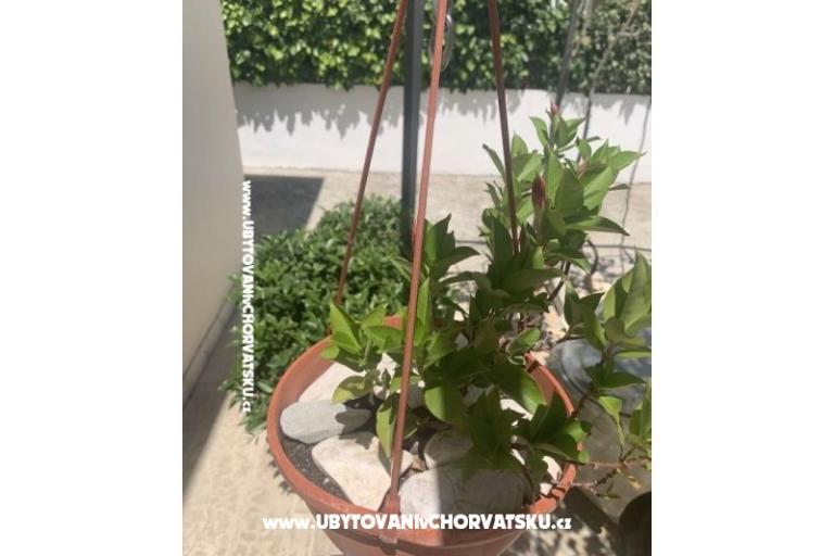 Apartman Odmor – foto 14