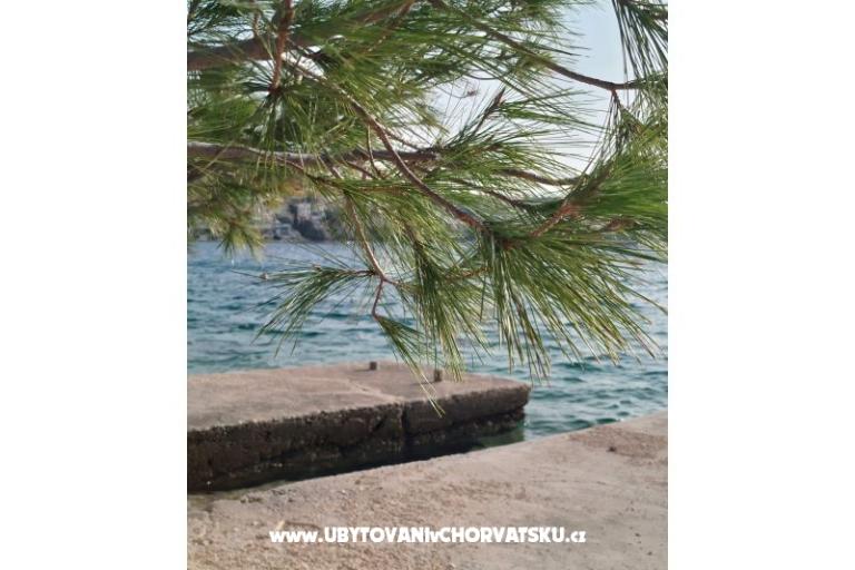 Apartman Mišić - OAZA MIRA – foto 19
