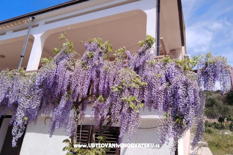 Apartman Mišić - OAZA MIRA – foto 21