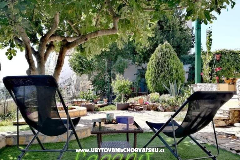 Apartman Pane – foto 11