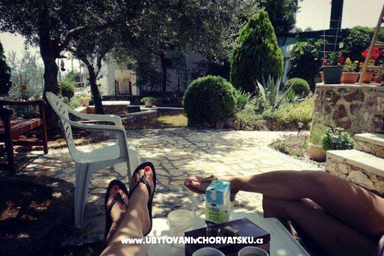 Apartman Pane – foto 13