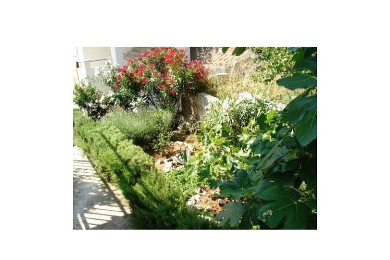 Apartmani Ante – foto 8