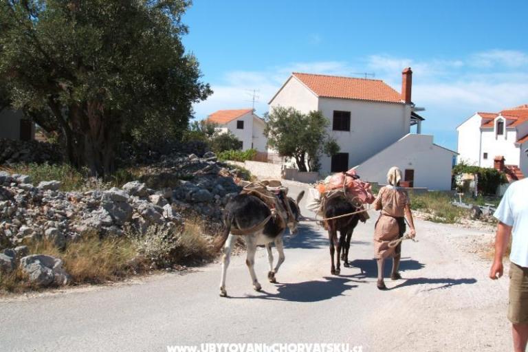 Apartmani Bačić – foto 17