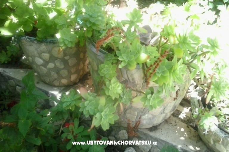Apartmani Baković – foto 6