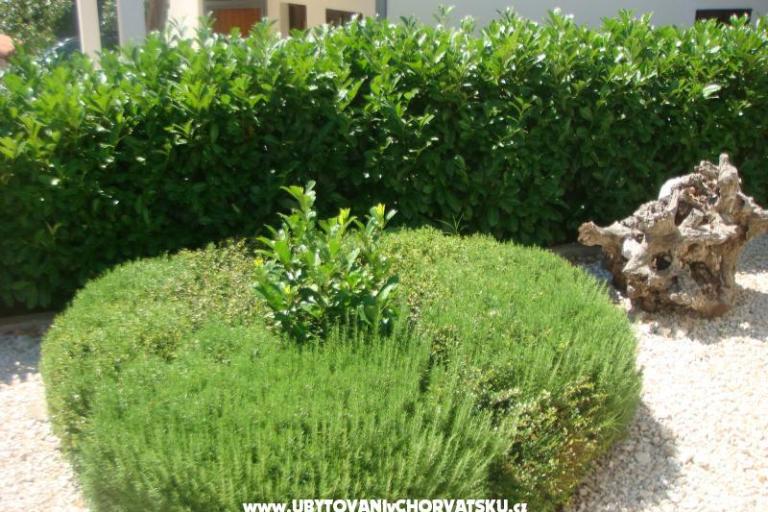 Apartmani Bartolić – foto 13