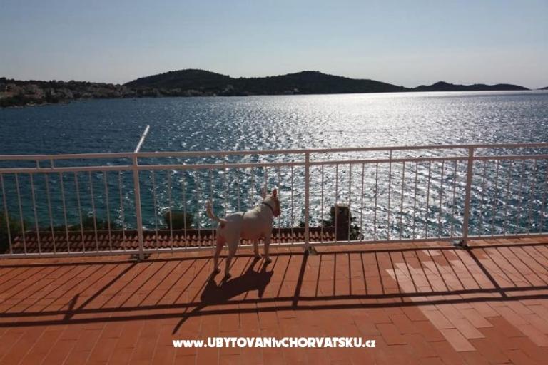 Apartmani Bebe – foto 5