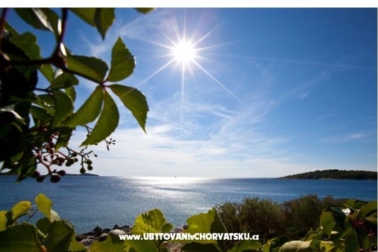 Apartmani Holiday – foto 8