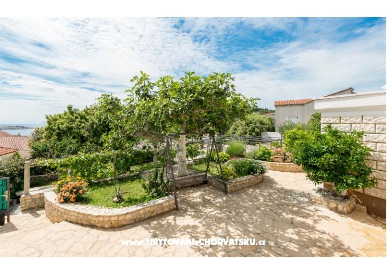 Apartmani Iva – foto 2