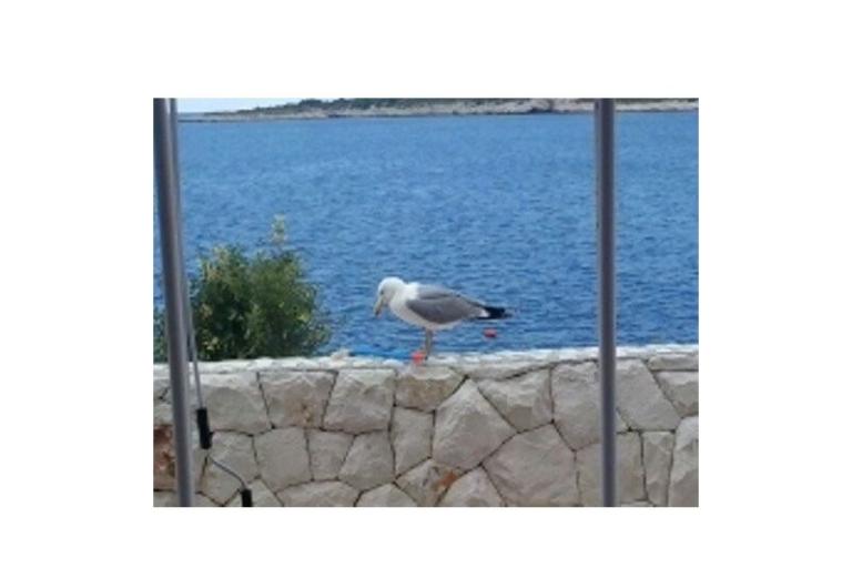 Apartmani Nika – foto 18