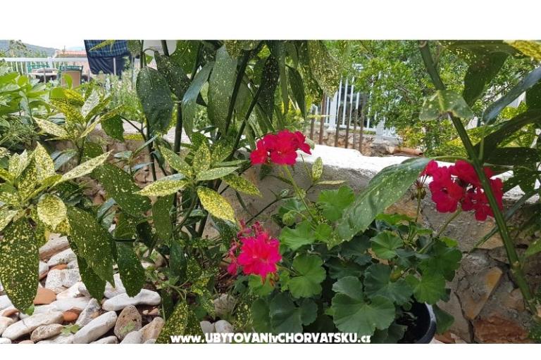 Apartmani Mijo – foto 12