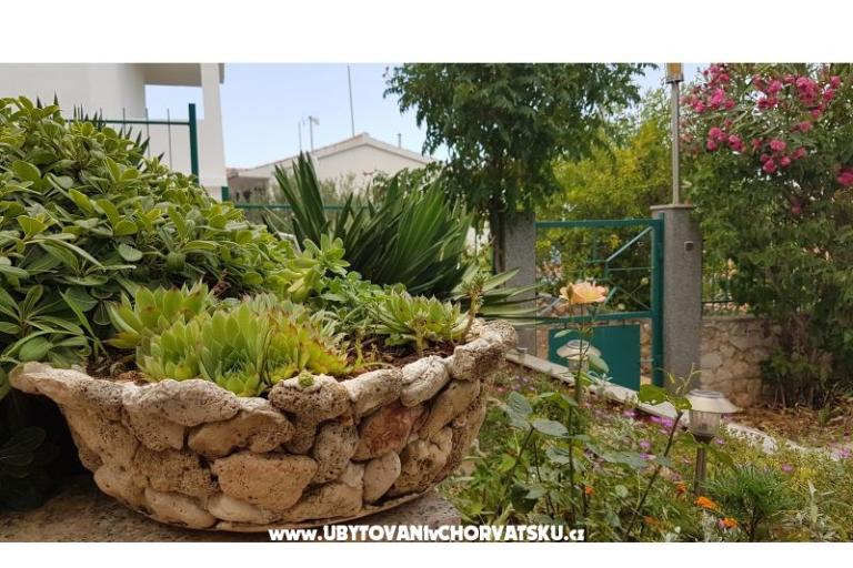 Apartmani Mijo – foto 13
