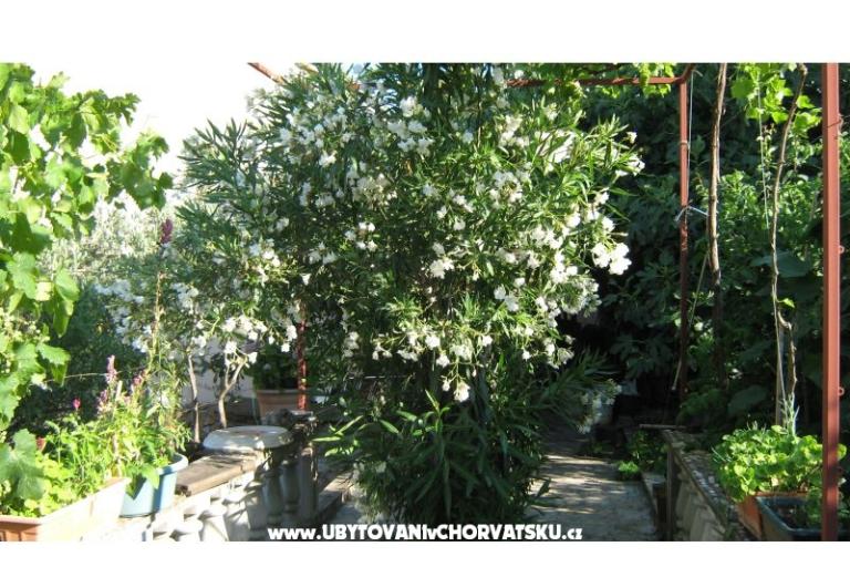 Apartmani Miki – foto 8