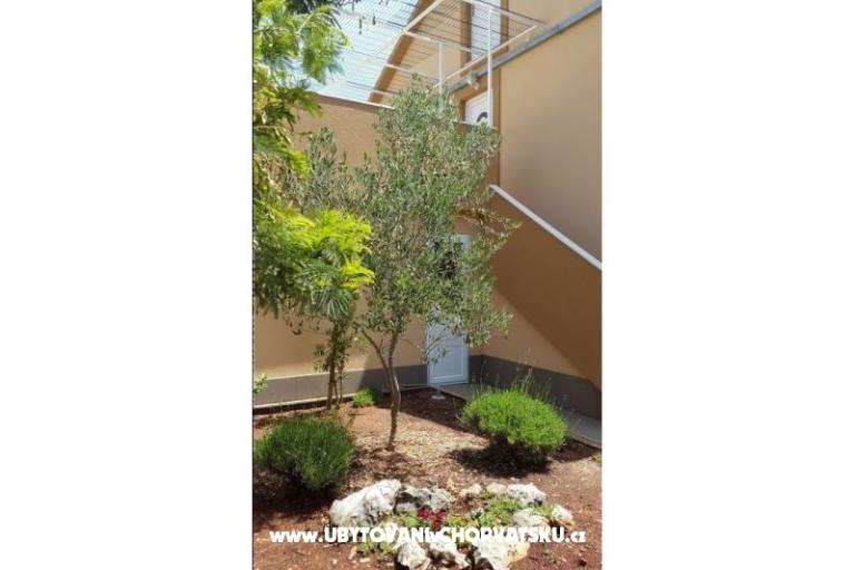 Apartmani Pejo – foto 4
