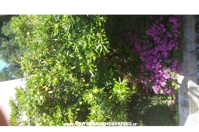 Apartmani Perak – foto 10