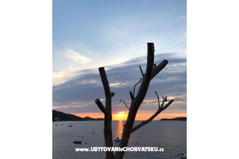 Apartmani Ruža – foto 20