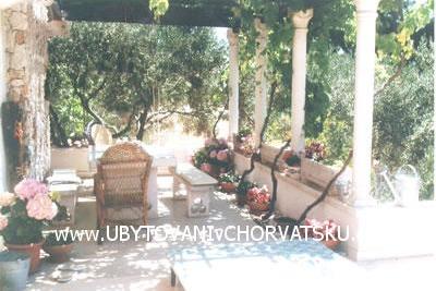 Apartmani Tihana – foto 8