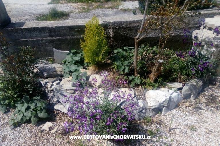 Apartmani Ercegovic – foto 4