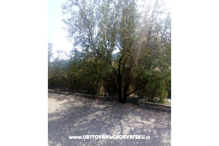 Apartmani Ercegovic – foto 5