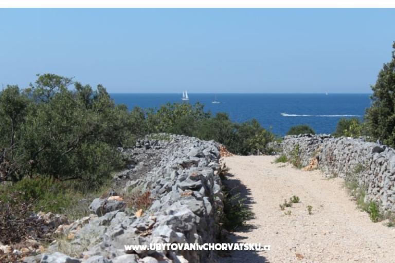 Apartmani Blazevic – foto 16