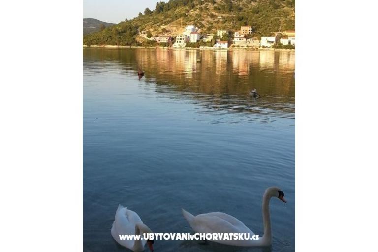 Apartmani Captain`s house – foto 18