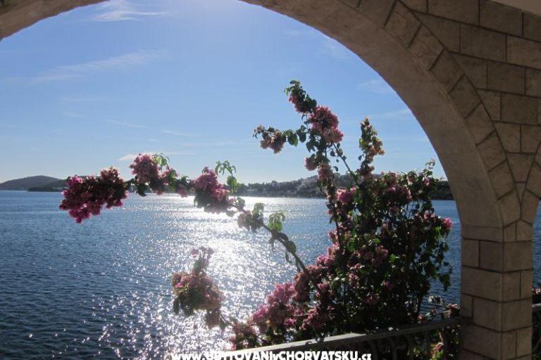 Apartmani Dane – foto 4