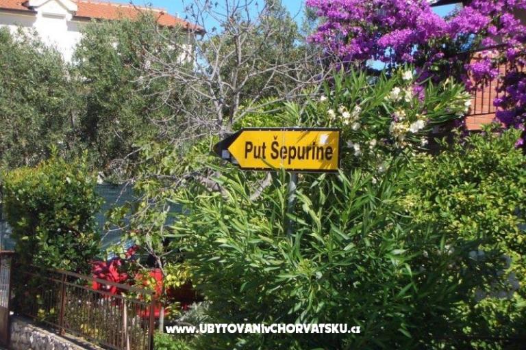Apartmani Knezevic – foto 13