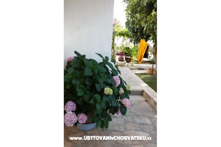 Apartmani Ursula – foto 14