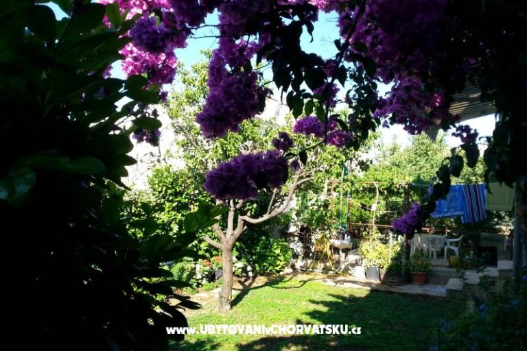 Apartmani Ursula – foto 6
