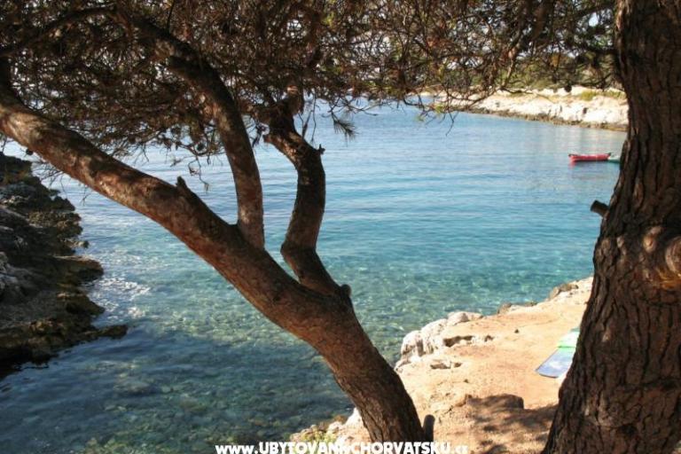 Breathtaking sea view – foto 12