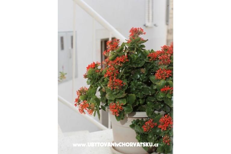 Kuća Anita – foto 17