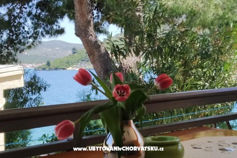 Kuća za odmor Milenka – foto 3