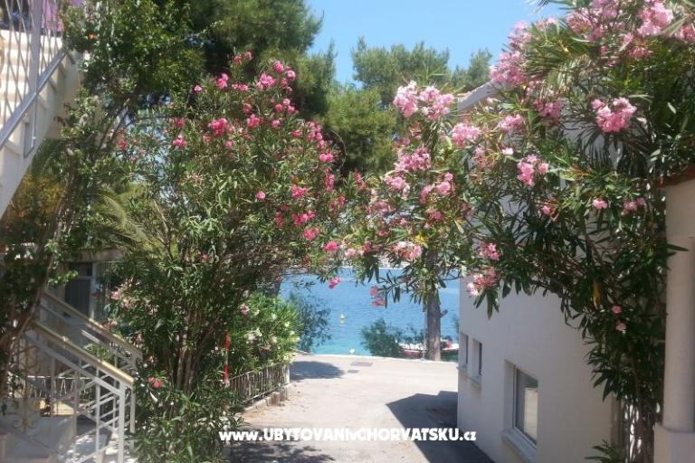 Kuća za odmor Milenka – foto 4