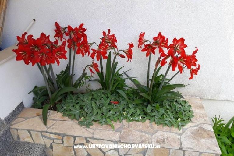 Apartmani Mira Mark Ražanj Rogoznic – foto 13