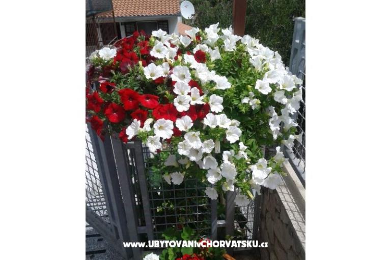Apartmani Mira Mark Ražanj Rogoznic – foto 7