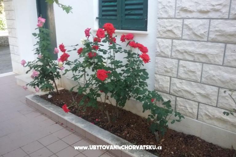 Santa Chiara Apartmani – foto 12