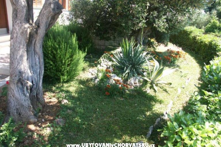Santa Chiara Apartmani – foto 5