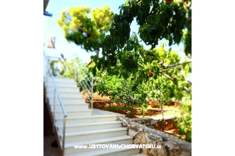 Sapa Apartman – foto 4