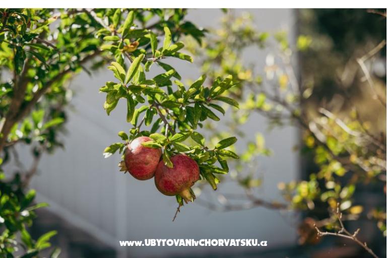 Apartmani Vidović – foto 4