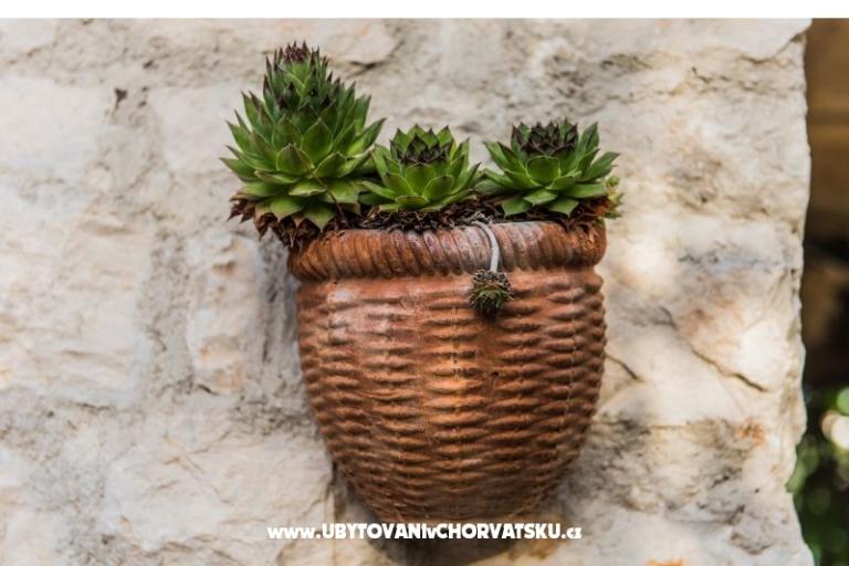 Villa Perla – foto 11