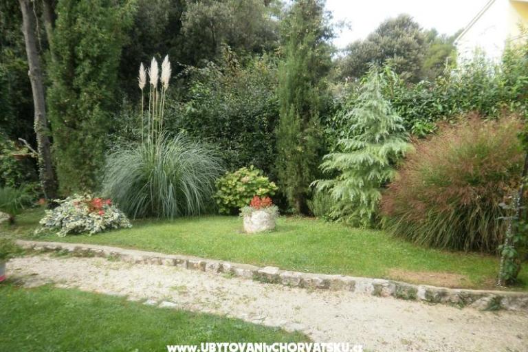 Apartmani Ana – foto 14