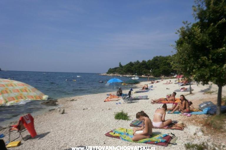Apartmani Ana – foto 16