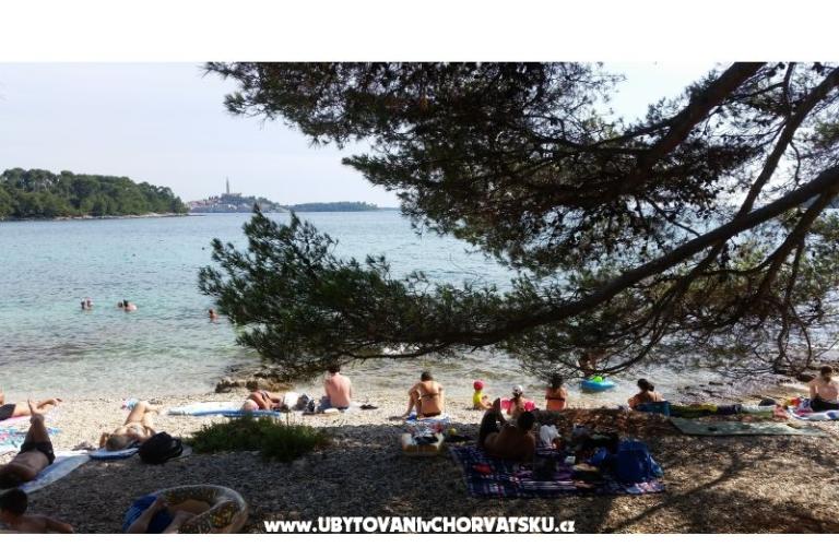 Apartmani Ana – foto 18