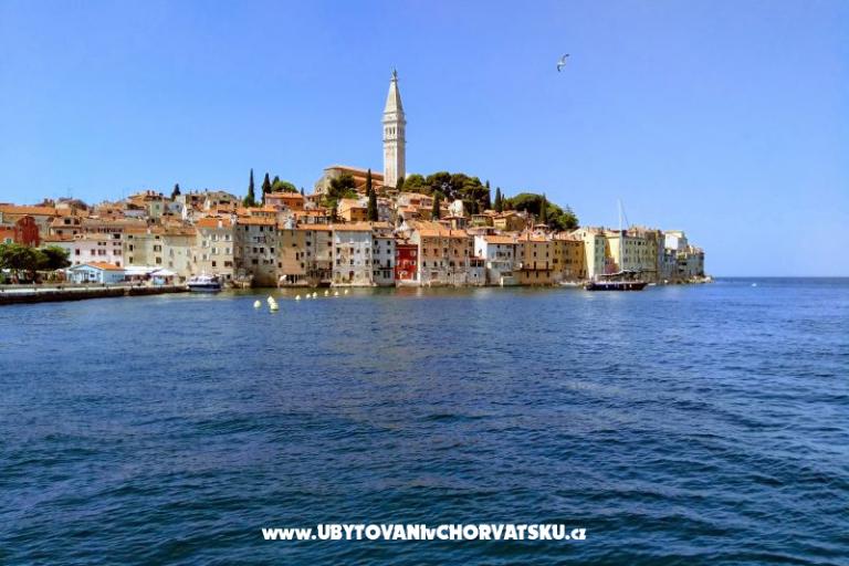 Apartmani i Sobe Markovic – foto 11