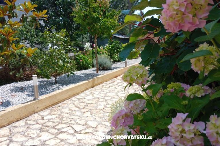Apartmani i Sobe Markovic – foto 17