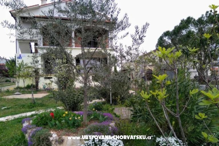 Apartmani i Sobe Markovic – foto 6