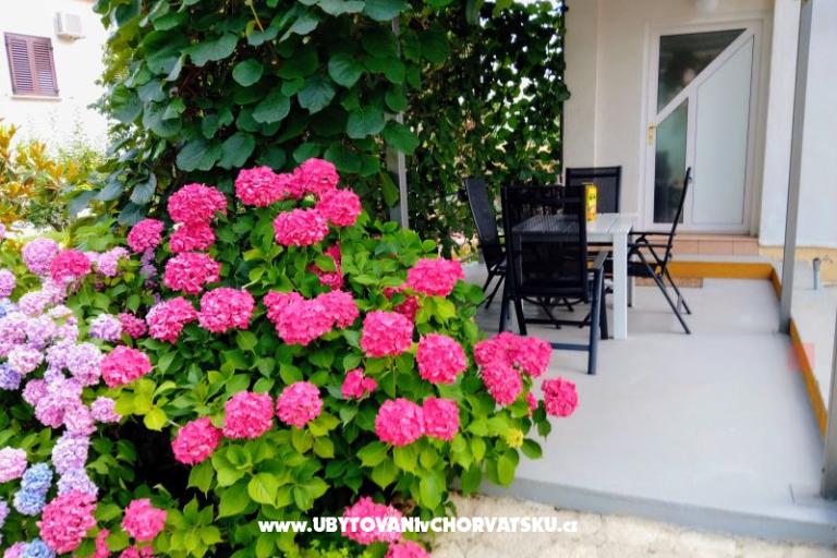 Apartmani i Sobe Markovic – foto 9