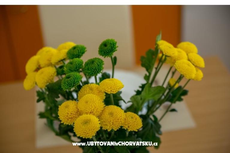 Apartmani Nada – foto 15