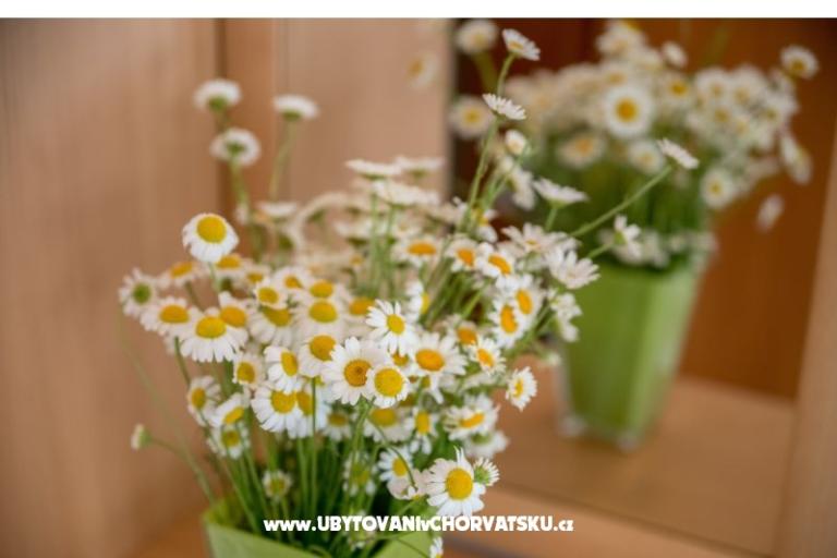 Apartmani Nada – foto 17